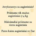 Izabeles Apartamentai 3* Palanga