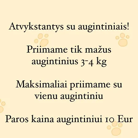Izabeles Apartamentai 3* Паланга