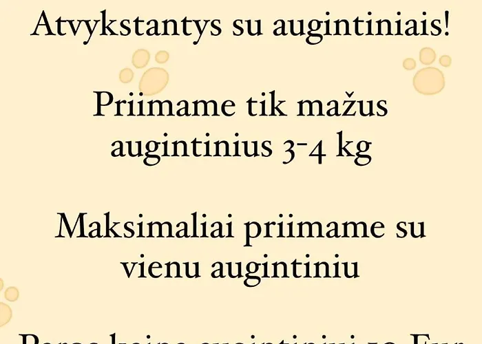 Izabeles Apartamentai 3* Palanga